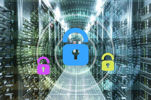 服務(wù)器租用與托管 網(wǎng)絡(luò)靈魂的基石，數(shù)據(jù)處理與存儲(chǔ)服務(wù)詳解